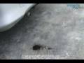 videos de Oxyhydrogen - Car exhaust discards Carbon and Water droplets