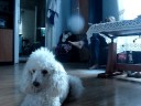 Takie tam ;)