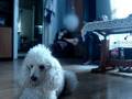 videos de Takie tam ;)