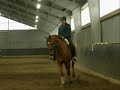 Lugn ridning med Pacha Lugn ridning med Pacha
