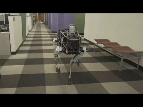 Robot dog Spot runs just for kicks