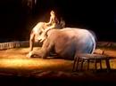 Cirkus Embell Riva u Baru