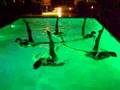 Swimming in Synch