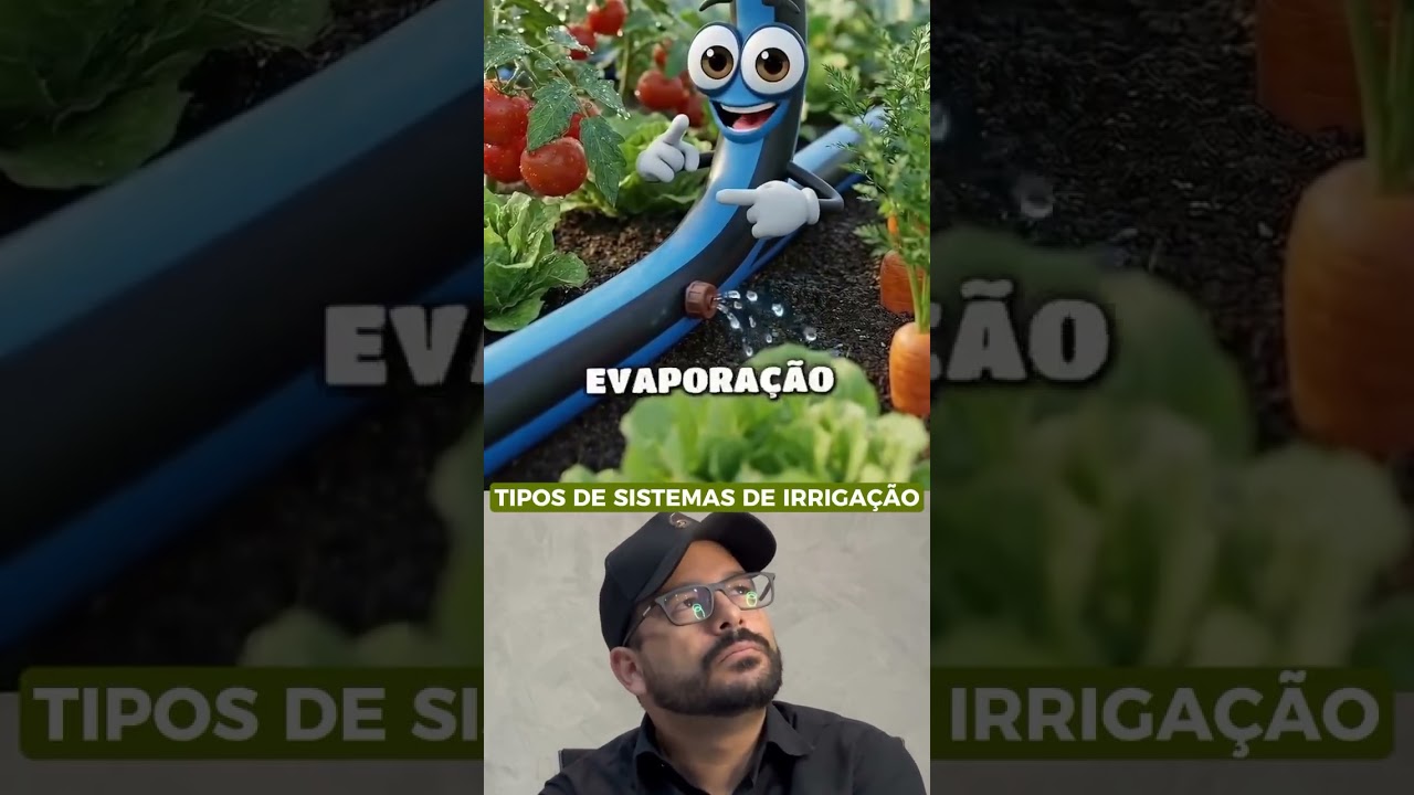 Qual sistema de irrigação aumenta mais a produtividade? 💧 #Irrigação #Agro #Shorts