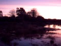 Sunrise 9 Nov