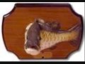 fillet of fish song