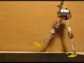 Runbot running Runbot running
