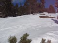 Snowboard en la Masella Snowboard en la Masella