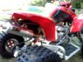 HONDA 400EX WALK AROUND