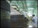 taif rose (extracting perfume from roses)