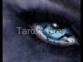 grey by the finnish heavy-metal band tarot 