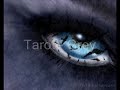 grey by the finnish heavy-metal band tarot 