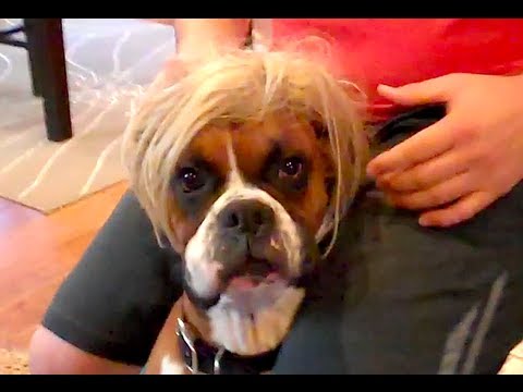I GOT MY HAIR DID
