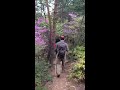 ぽんぽん山
