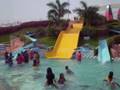 videos de jalavihar