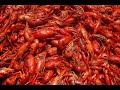 cajun-nathan-abshire-french-blues-slide.html