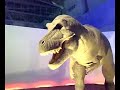 ??????????????????? (Tarbosaurus in Dinosaur Continent) ??????????????????? (Tarbosaurus in Dinosaur Continent)