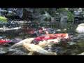 videos de relaxing-waterfalls