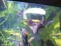 Feed your plecos ZUCHINI !!! Feed your plecos ZUCHINI !!!