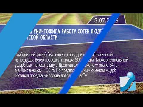 Новостная лента Телеканала Интекс 03.07.19.