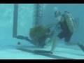 Army Divers