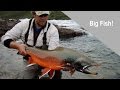 Arctic Char & Lake Trout Fly Fishing Adventure