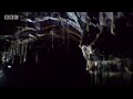 Silk thread hunting trap - Sir David Attenborough\