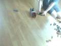 Robot Wars, Sonic Wars Heat B