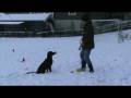 videos de Cola 6.5 månad.