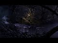 [Video]