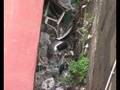 videos de Maschio Angioino Napoli