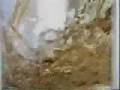 videos de Comerciais - Pizza com Guarana