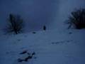 Snow fun