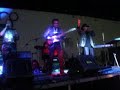 LOS FELINOS 