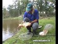 Floatfishing for carp