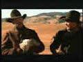 Cat Herders
