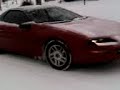 Comaro in the snow
