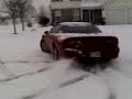 comaro-in-the-snow.html