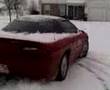 Comaro in the snow