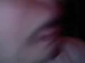 videos de pit-mix i don't want standar poushy(new version)