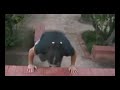 Parkour Portugal Expo