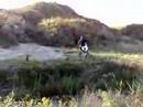 Hellyboy op crosser