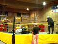 Massive Tsunami vs. O'Riley and Kid Casanova 3