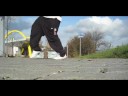 Xcentric... Feel Me Flow - Cwalk / Clownwalk Snippet