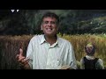 CONHECENDO A VOCAÇÃO DE DEUS - EFÉSIOS 1:1 CONHECENDO A VOCAÇÃO DE DEUS - EFÉSIOS 1:1