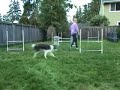 Rear Cross Drill