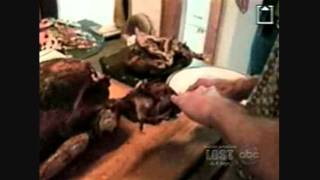America's Funniest Home Videos - Nhung video clip hai hay nhat - tap 77
