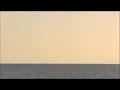 Mike's Sanibel Shark 2