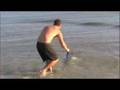 Mike's Sanibel Shark 2