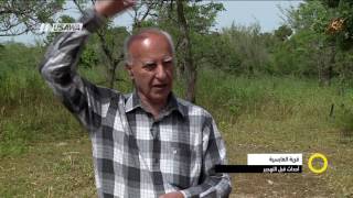 تقرير - قرية الغابسية  ، أحداث ما قبل التهجير- مجد دانيال -  صباحنا غير- 2-5-2017 - مساواة